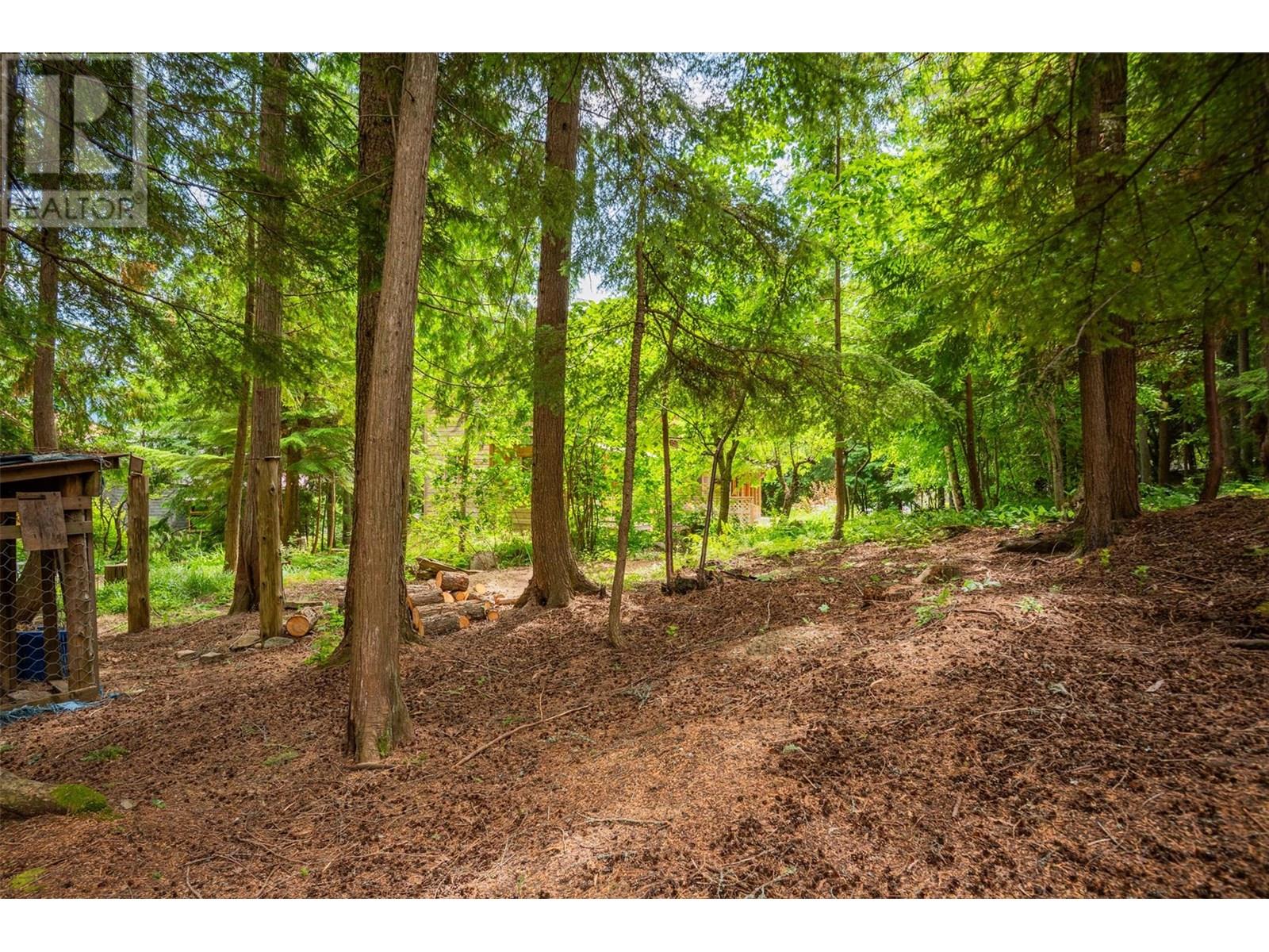 1116 C Avenue, Kaslo