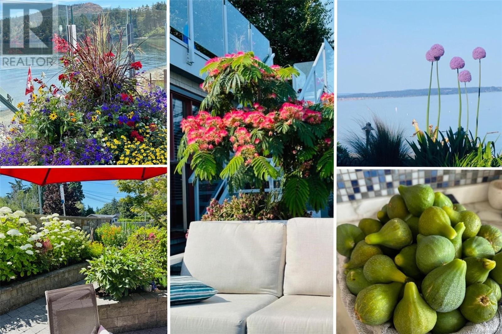 Photo 4 of 5073 Cordova Bay Rd, Saanich BC
