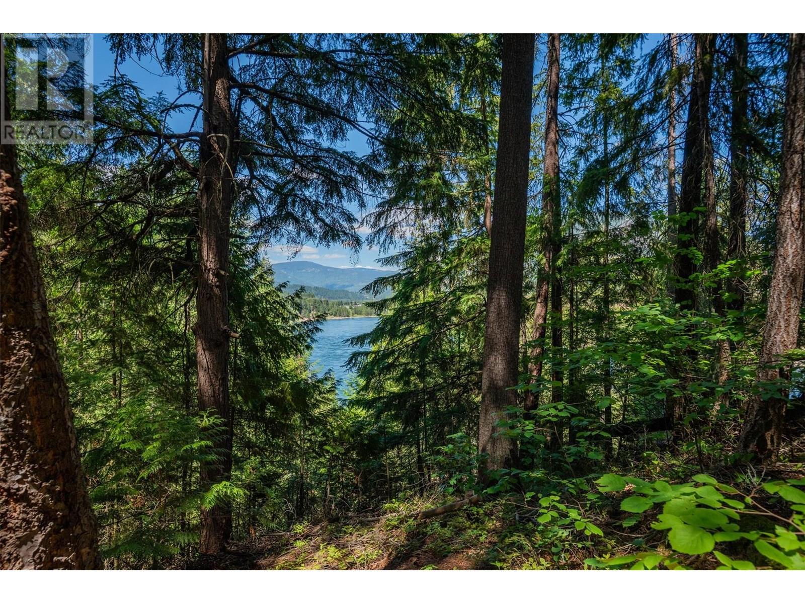 1669 Ridgewood Drive, Castlegar