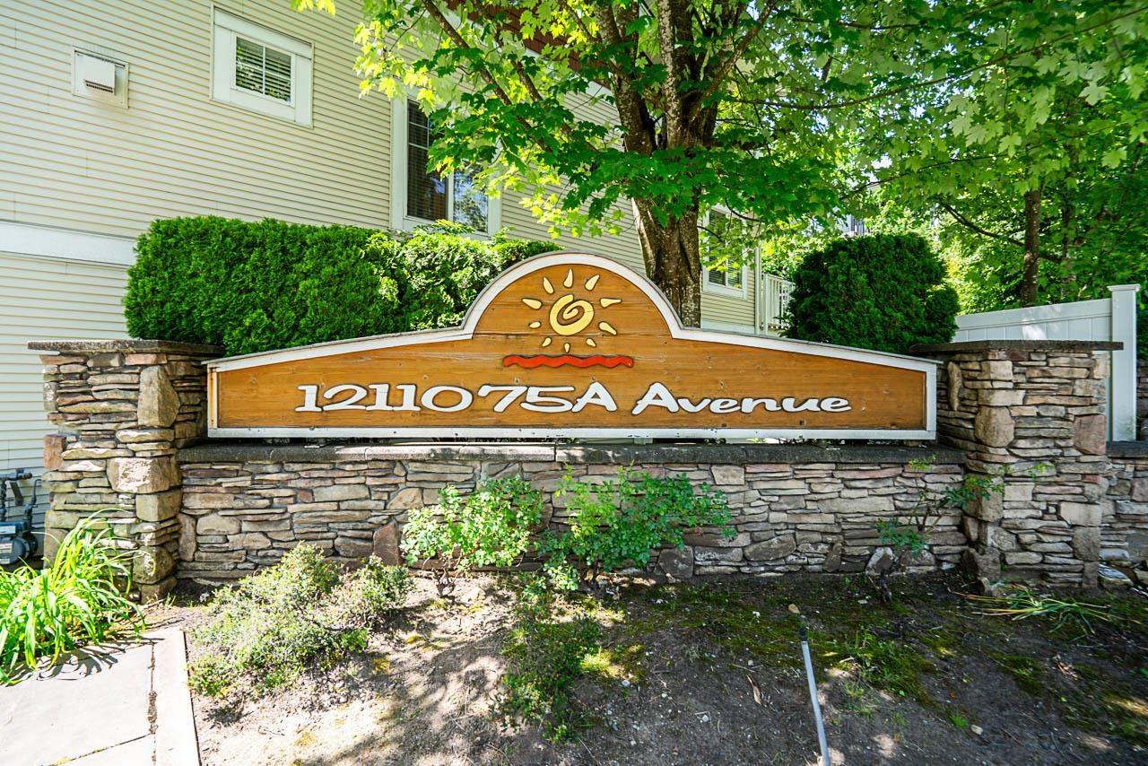 Photo 1 of 71 12110 75 A Avenue, Surrey BC