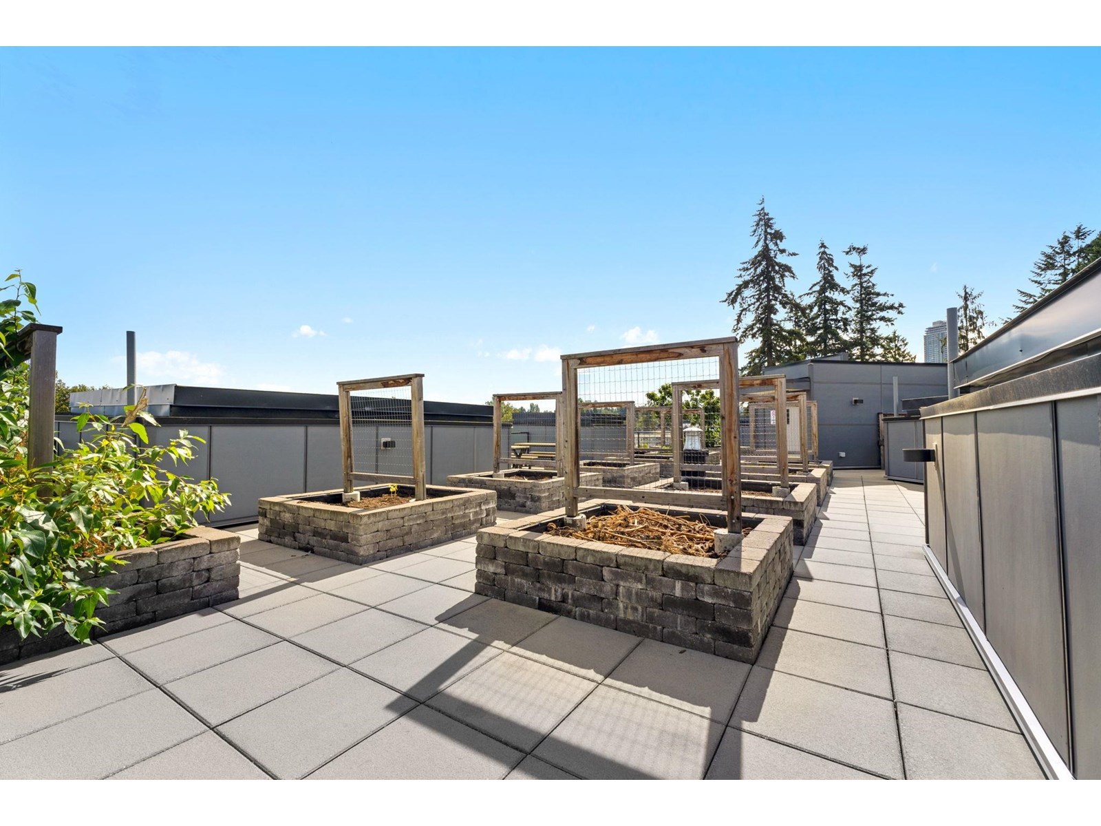 Photo 24 of 418 11077 Ravine Road, Surrey BC