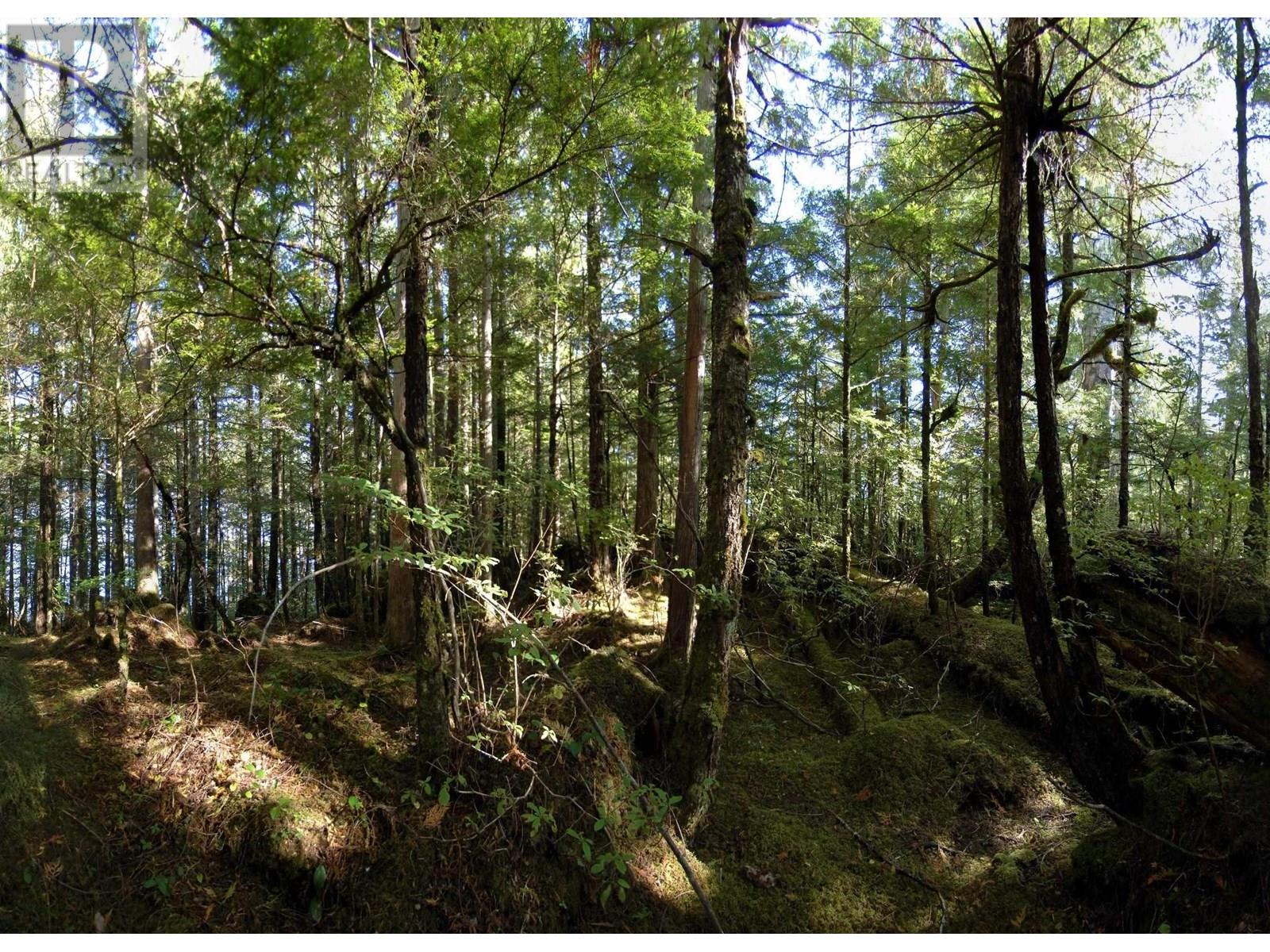 1302 GOBLE POINT, Prince Rupert