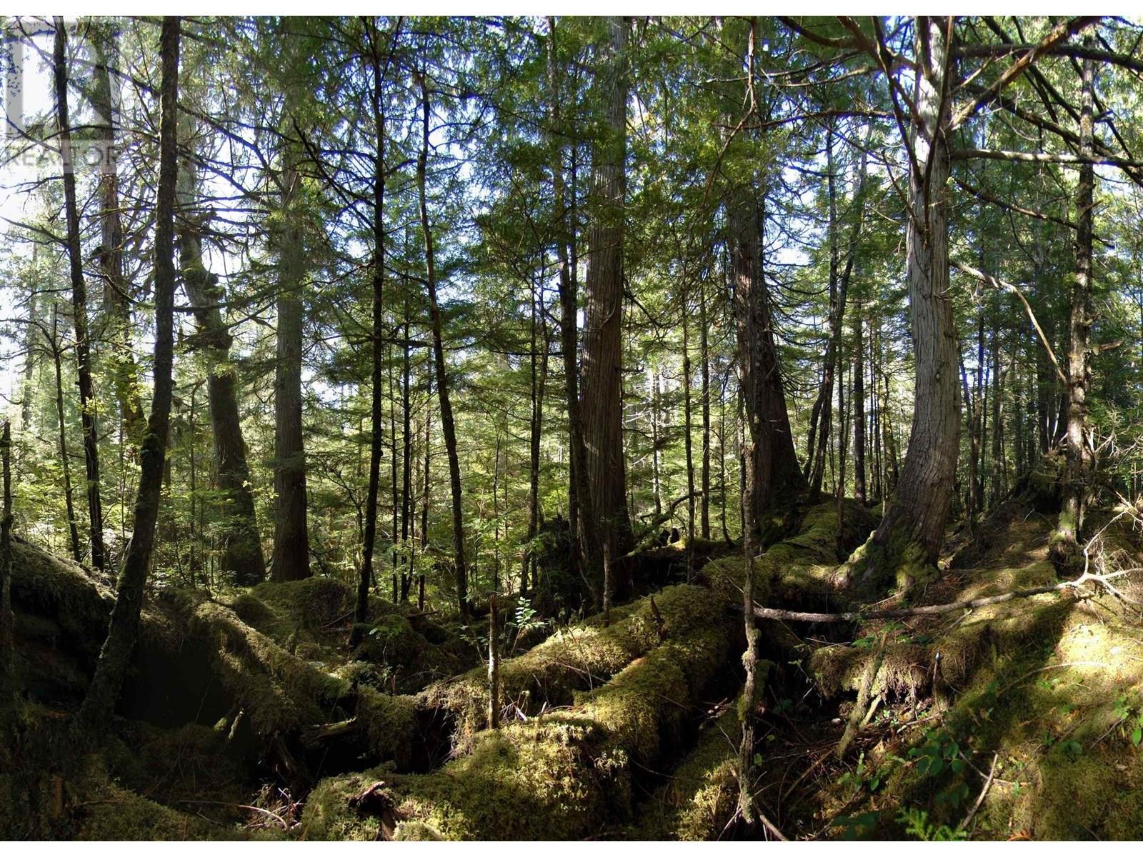 1302 GOBLE POINT, Prince Rupert