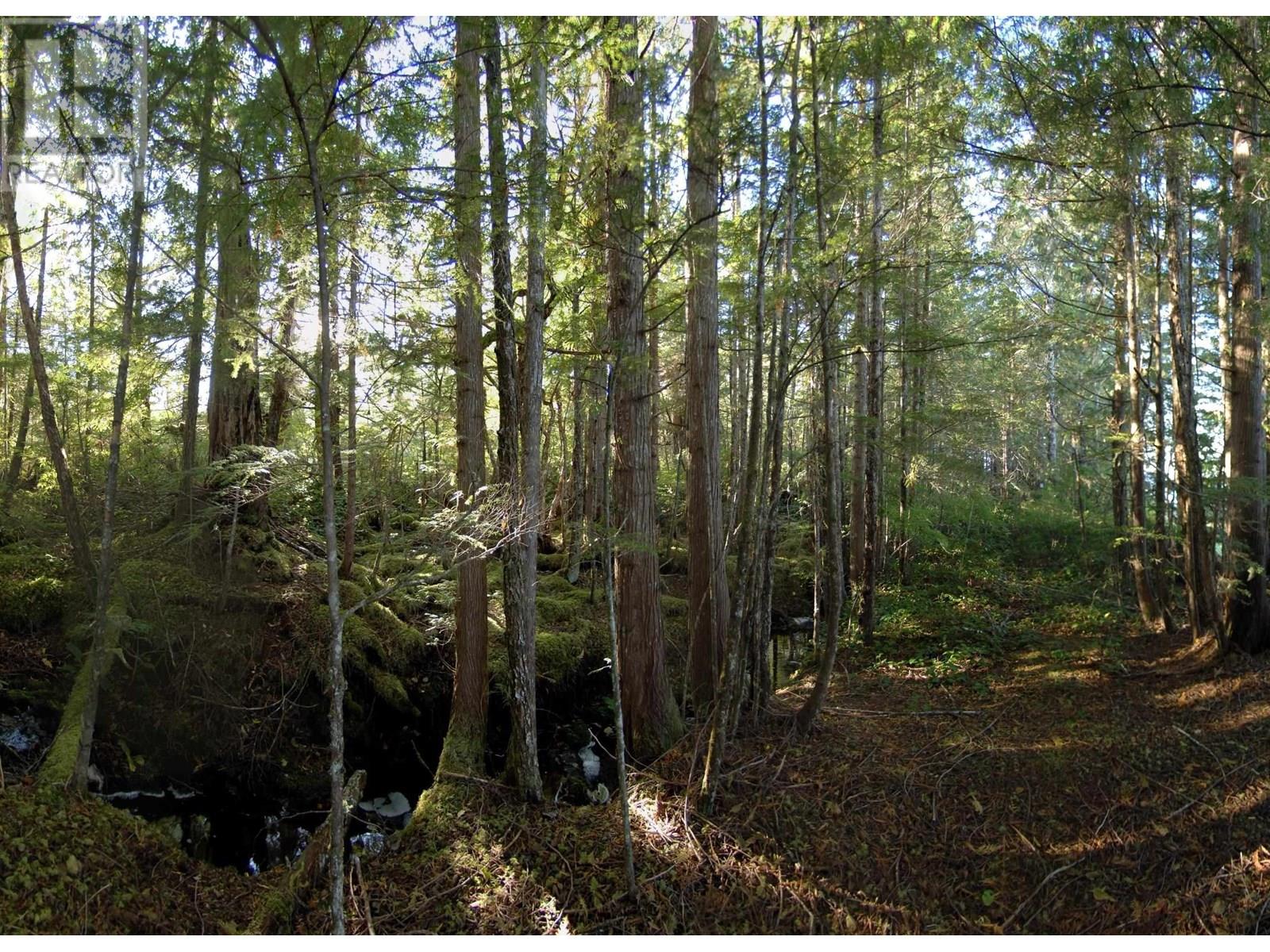 1302 GOBLE POINT, Prince Rupert