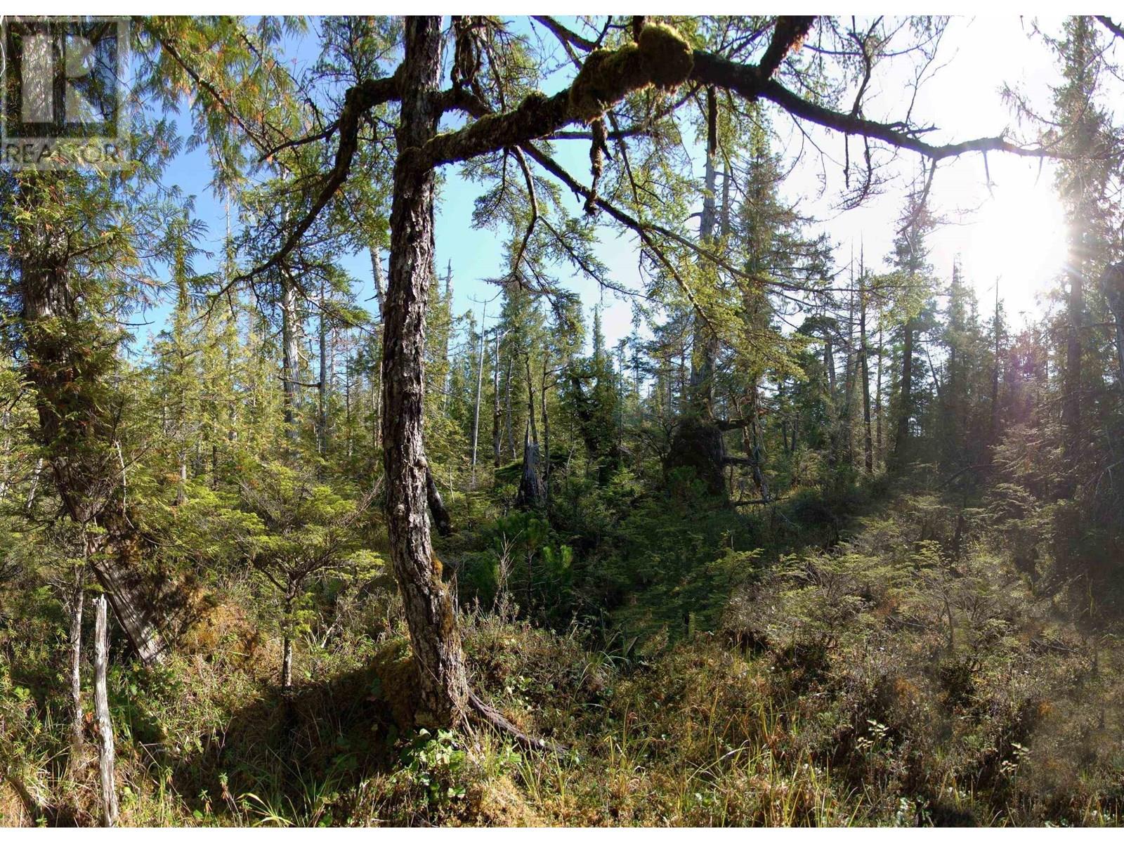 1302 GOBLE POINT, Prince Rupert