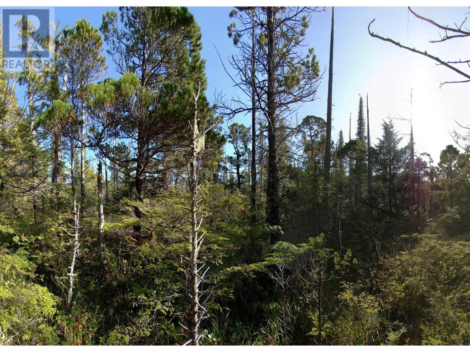 1302 GOBLE POINT, Prince Rupert