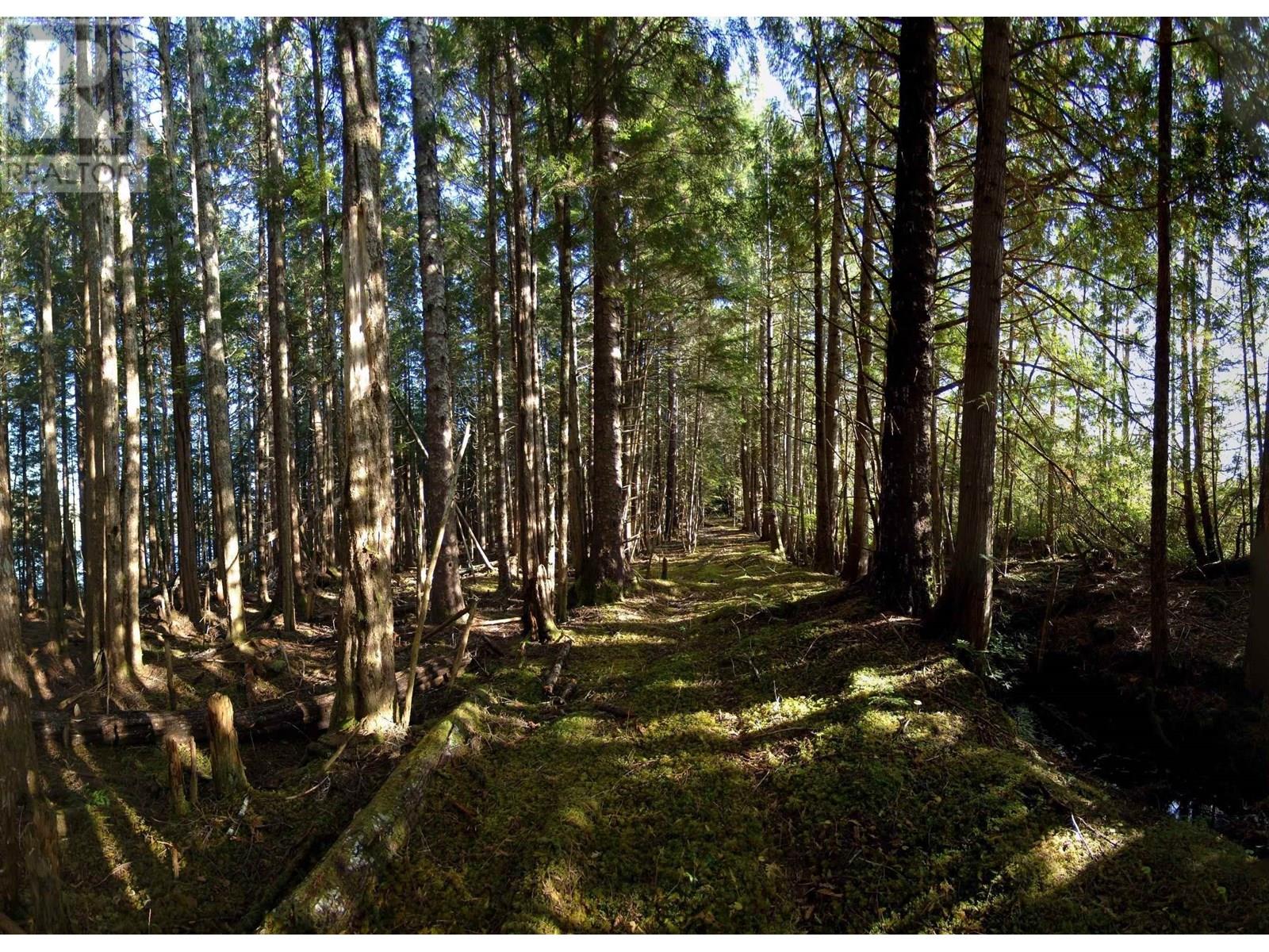 1302 GOBLE POINT, Prince Rupert