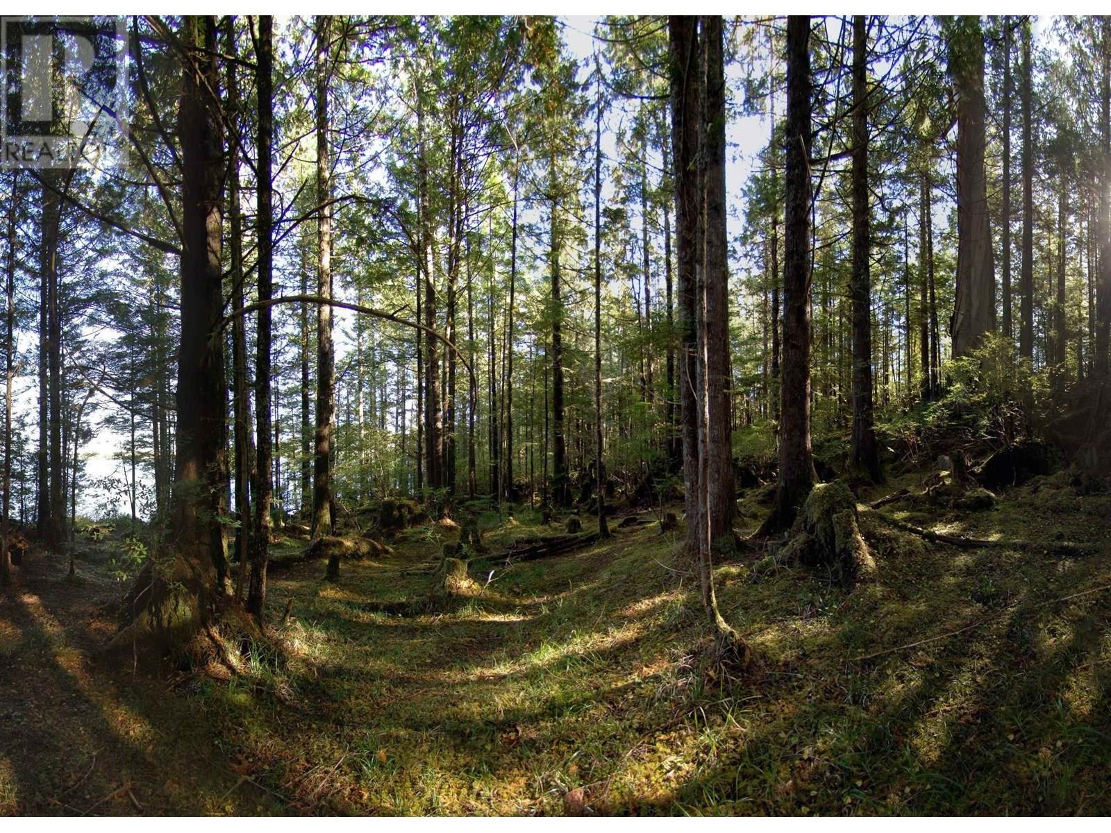 1302 GOBLE POINT, Prince Rupert