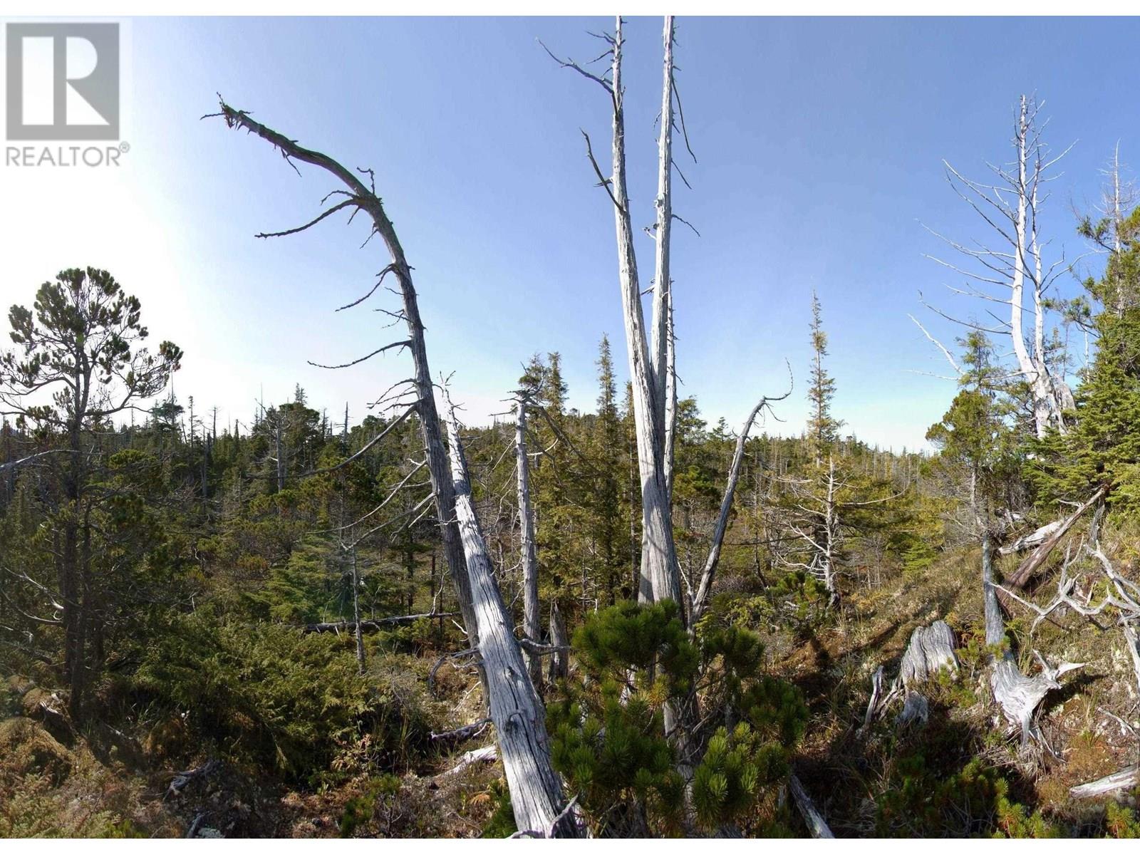 1302 GOBLE POINT, Prince Rupert