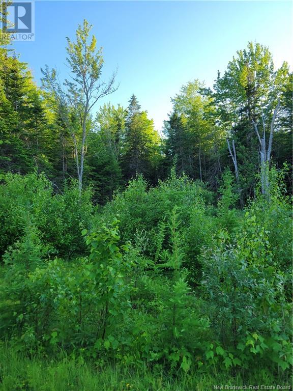 Photo 4 of Lot 79 19 Morton Lane, Cumberland Bay NB