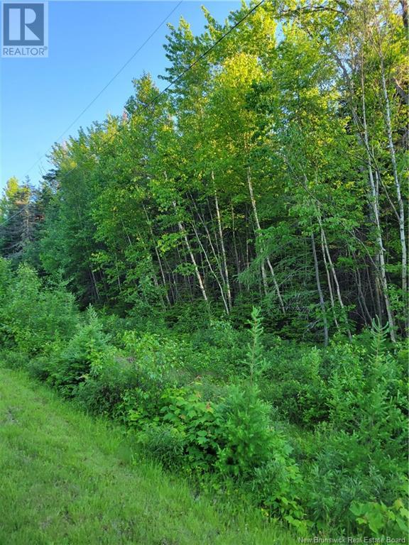Photo 5 of Lot 79 19 Morton Lane, Cumberland Bay NB
