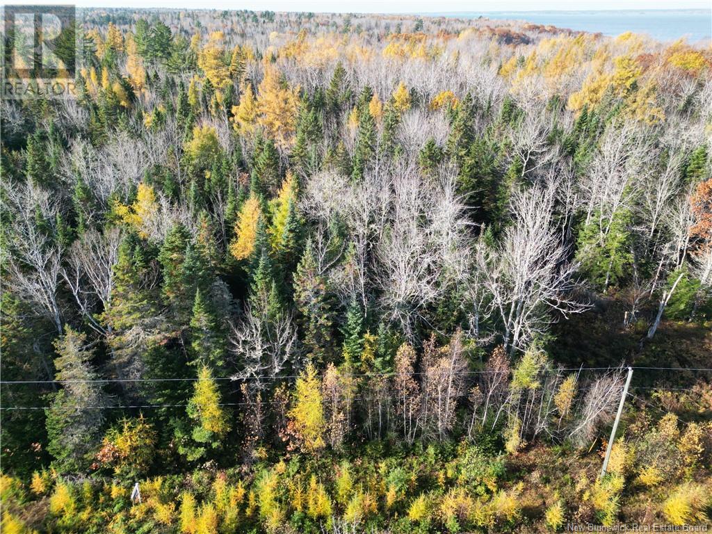 Photo 1 of Lot 79 19 Morton Lane, Cumberland Bay NB