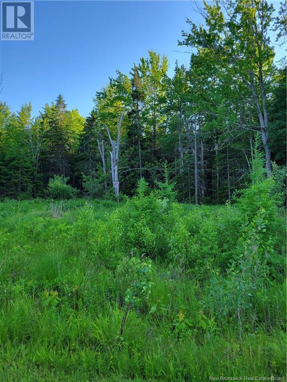 Photo 3 of Lot 79 19 Morton Lane, Cumberland Bay NB