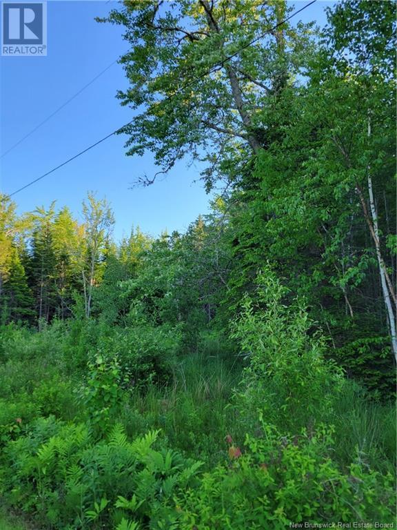 Photo 2 of Lot 79 19 Morton Lane, Cumberland Bay NB