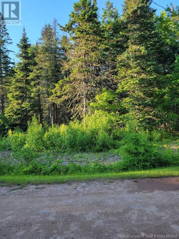 Photo 3 of Lot 79 18 Morton Lane, Cumberland Bay NB