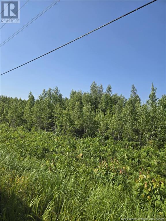 Photo 7 of Lot 5 Route 10, Cumberland Bay NB