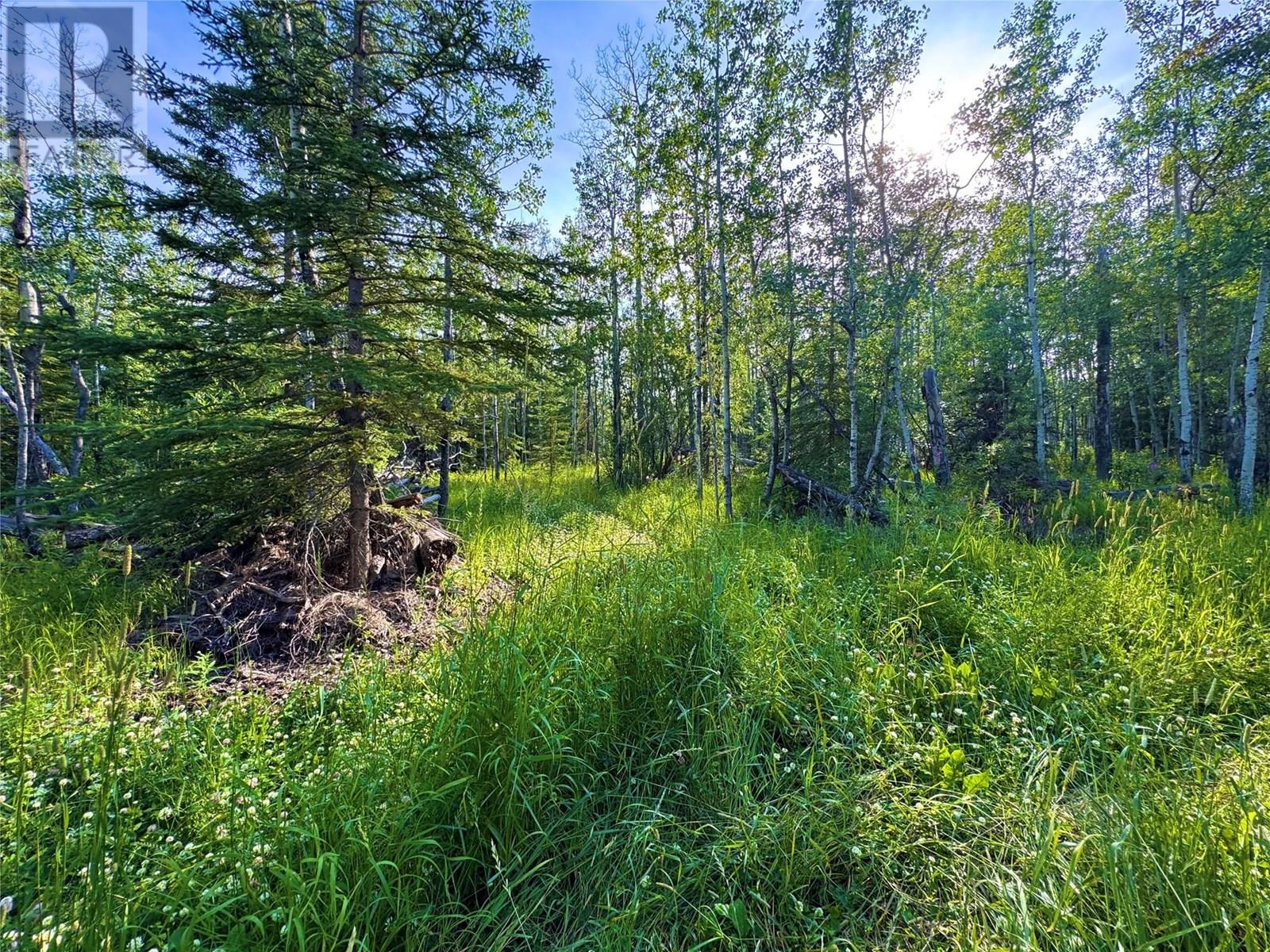 Photo 16 of 8839 227 Road, Dawson Creek BC