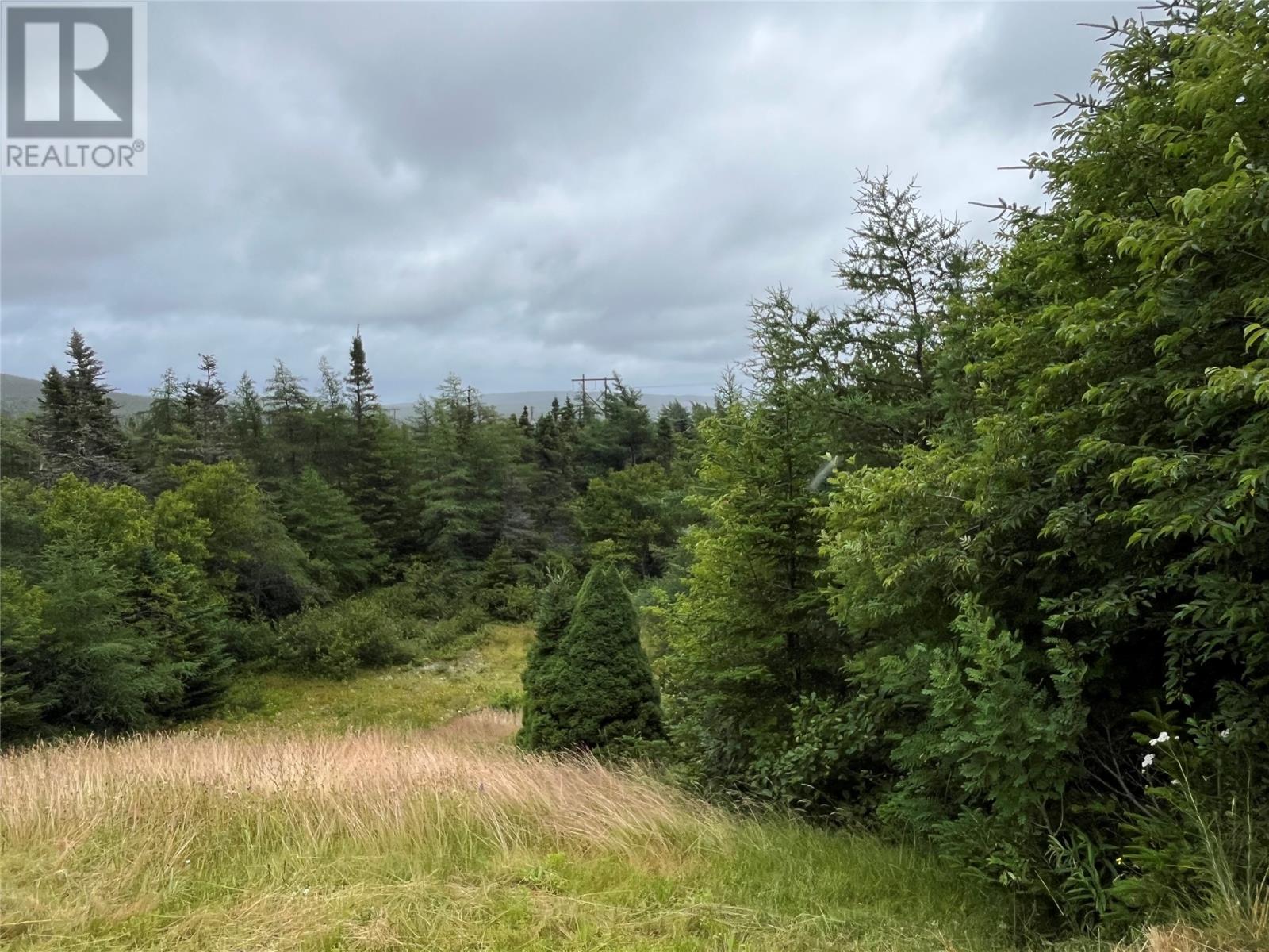 Photo 8 of 102 Horse Chops Road, Cape Broyle NL