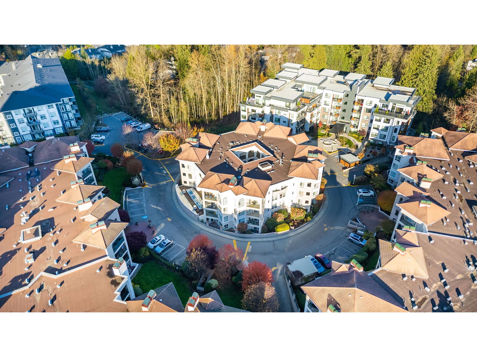 Photo 34 of 207 3174 Gladwin Road, Abbotsford BC