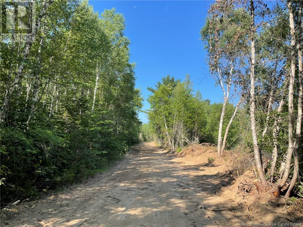 Lot Richard Hill Road - Photo 5 of 7, Shediac Bridge, New Brunswick