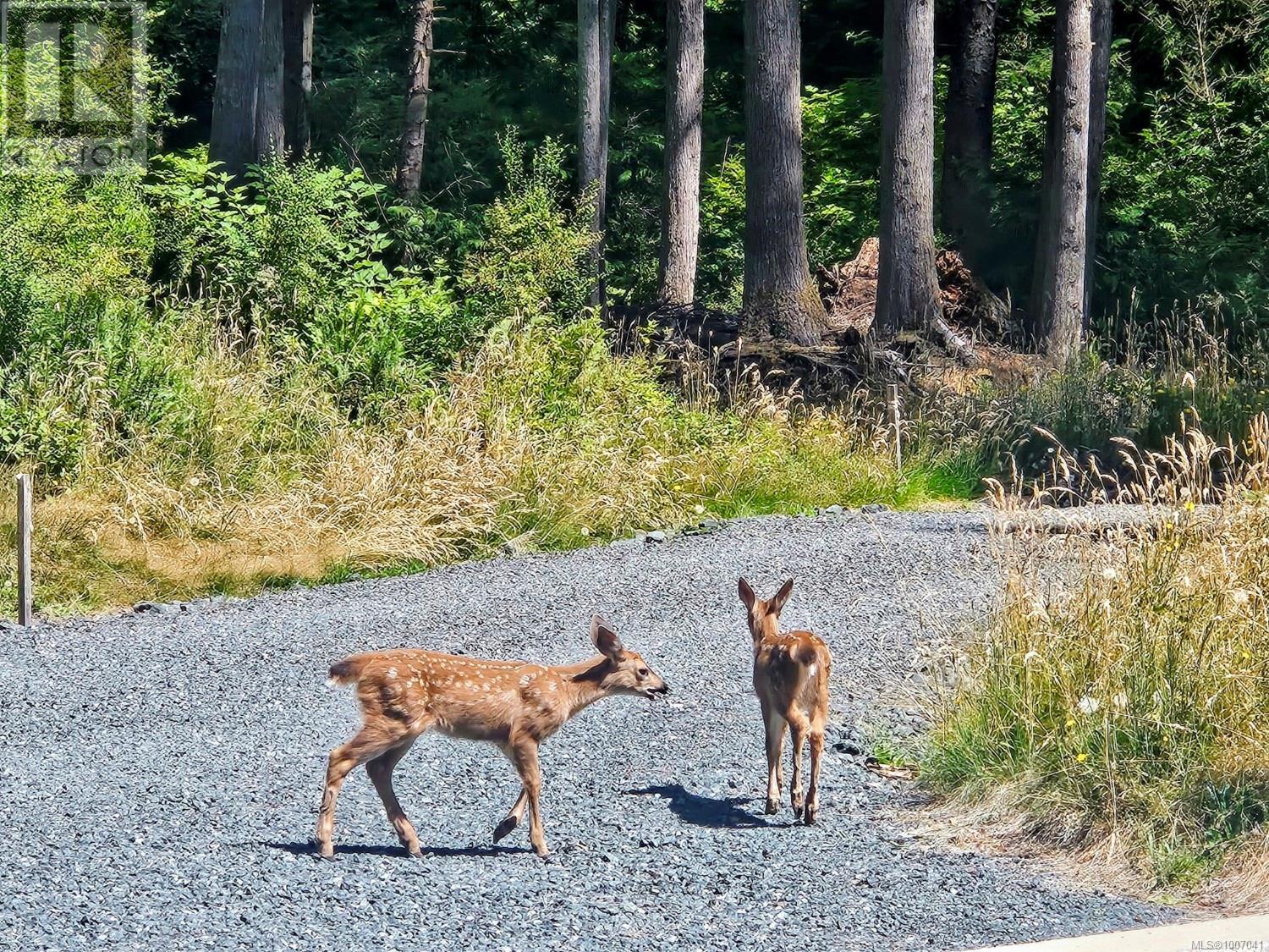 Photo 34 of 6208 Island Hwy W, Qualicum Beach BC