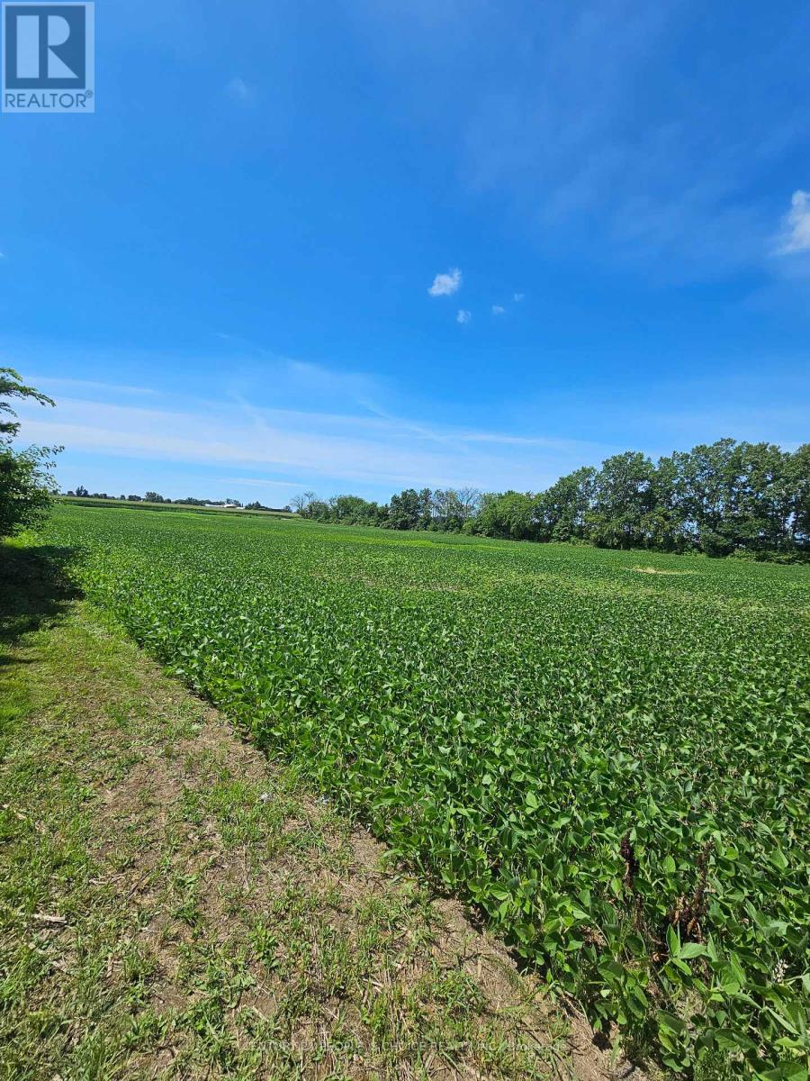 Photo 3 of 3670 3rd Concession Road, Essex ON