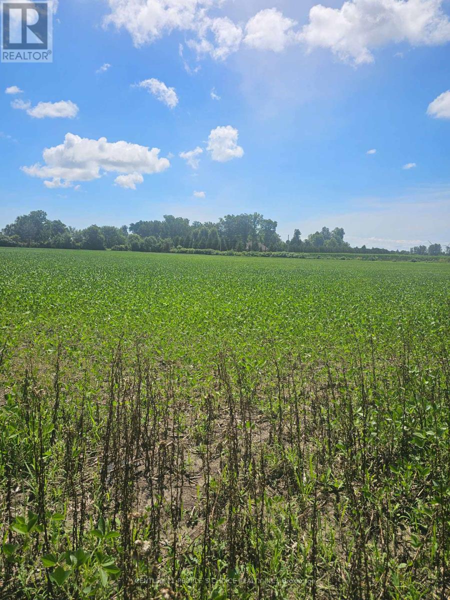 Photo 5 of 3670 3rd Concession Road, Essex ON