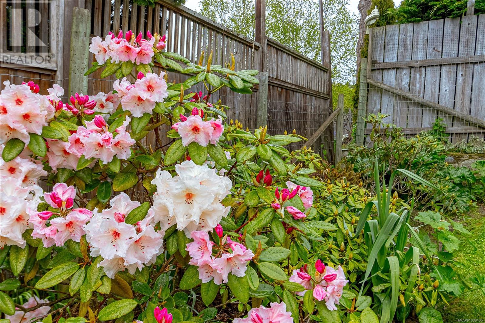 3928 CADBORO BAY RD - Image 39