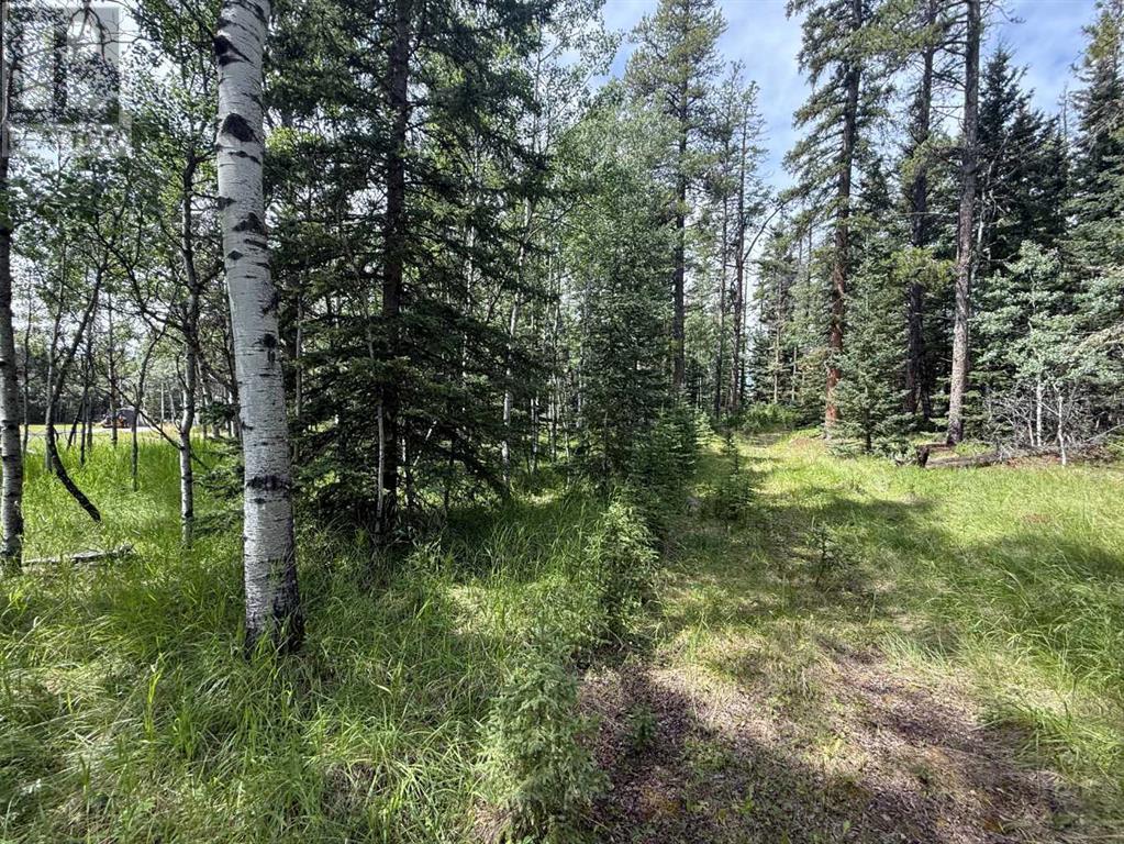 Photo 10 of 24 Pears Road, Waiparous AB