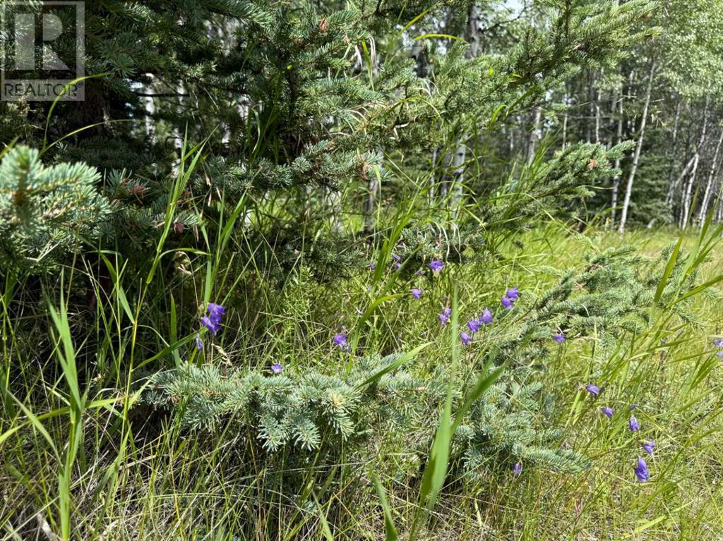 Photo 18 of 24 Pears Road, Waiparous AB