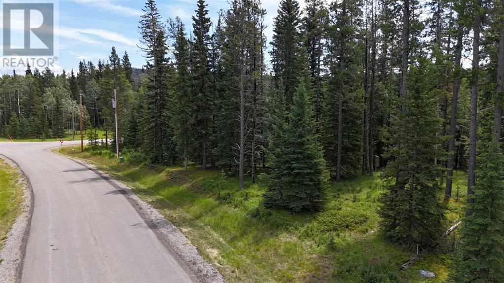 Photo 3 of 24 Pears Road, Waiparous AB