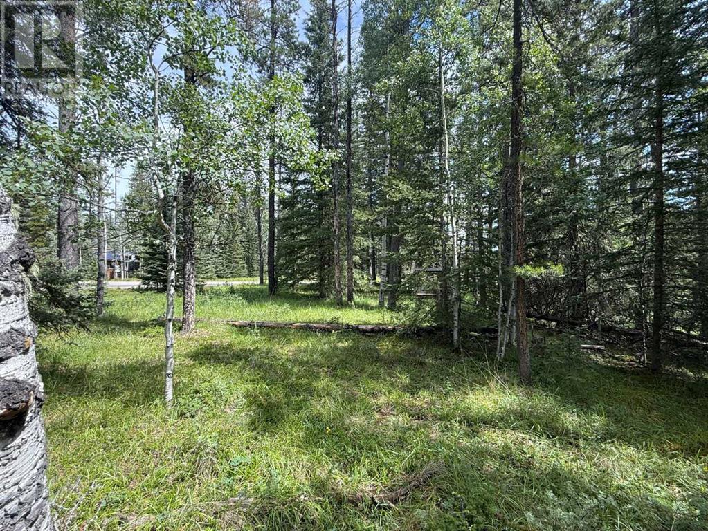 Photo 11 of 24 Pears Road, Waiparous AB