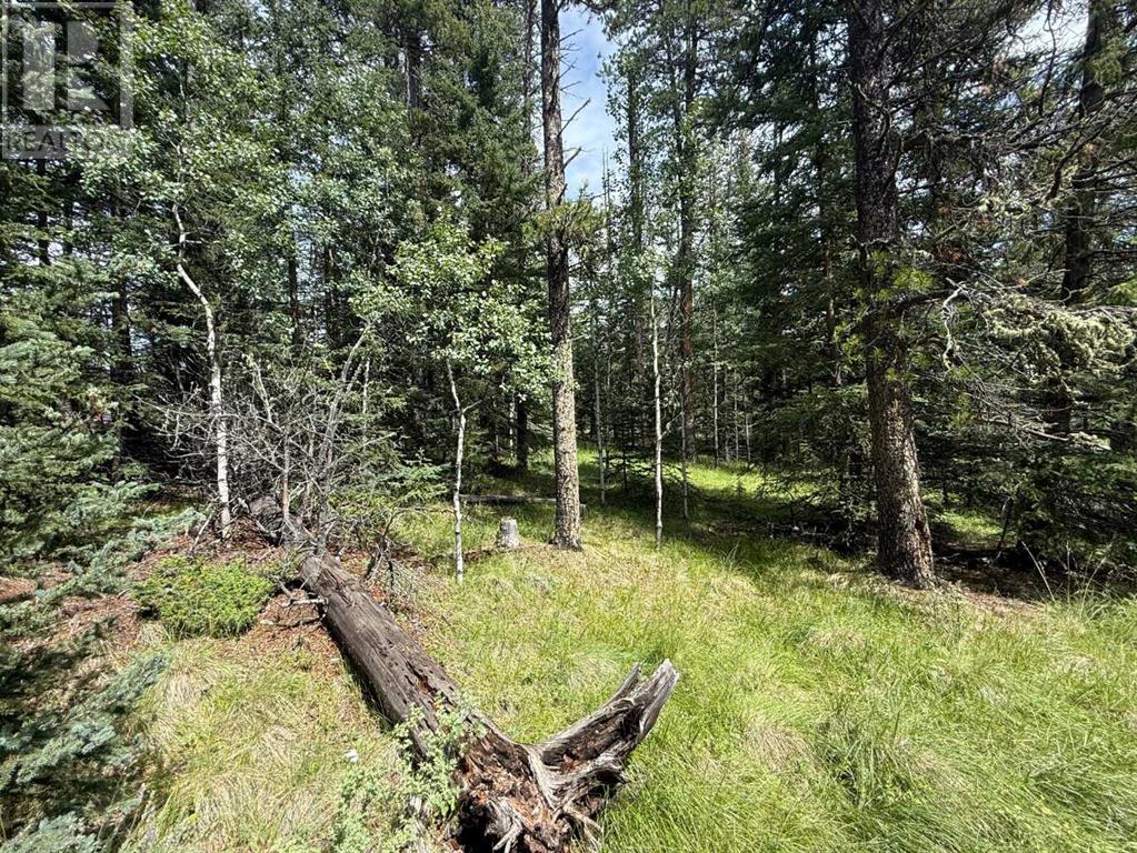 Photo 9 of 24 Pears Road, Waiparous AB