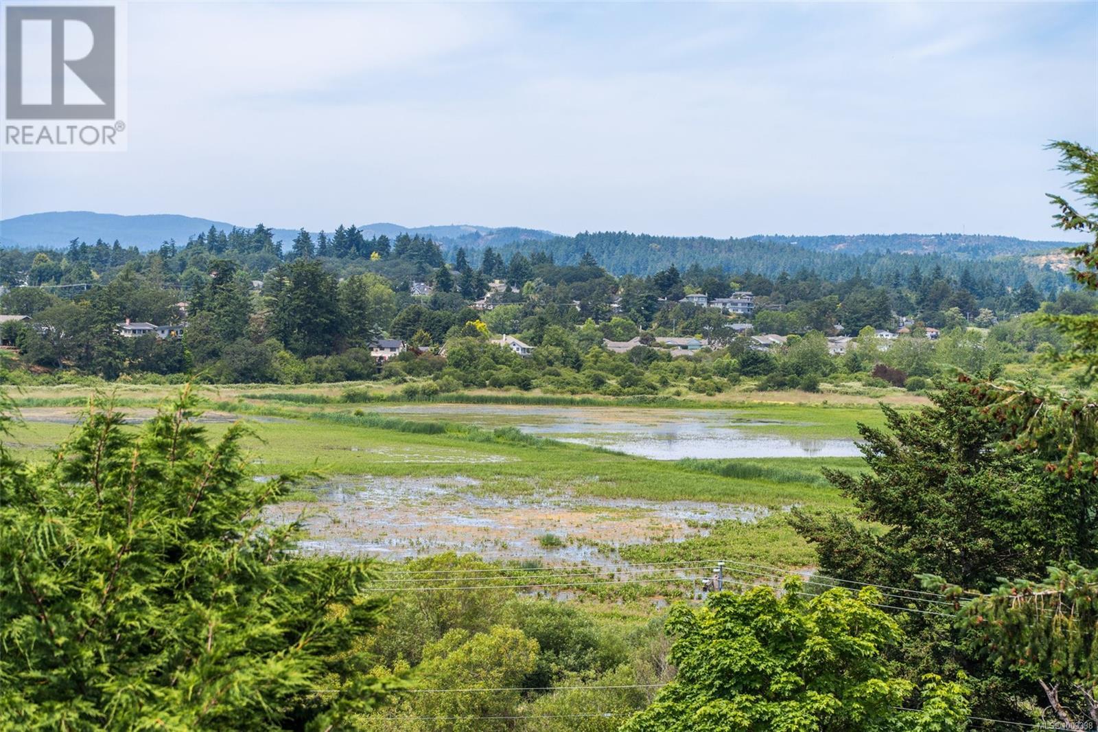 Photo 22 of 518 Broadway St, Saanich BC