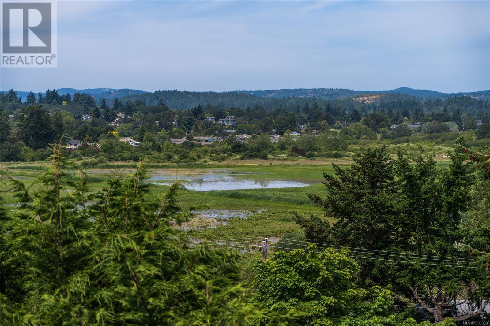 Photo 21 of 518 Broadway St, Saanich BC
