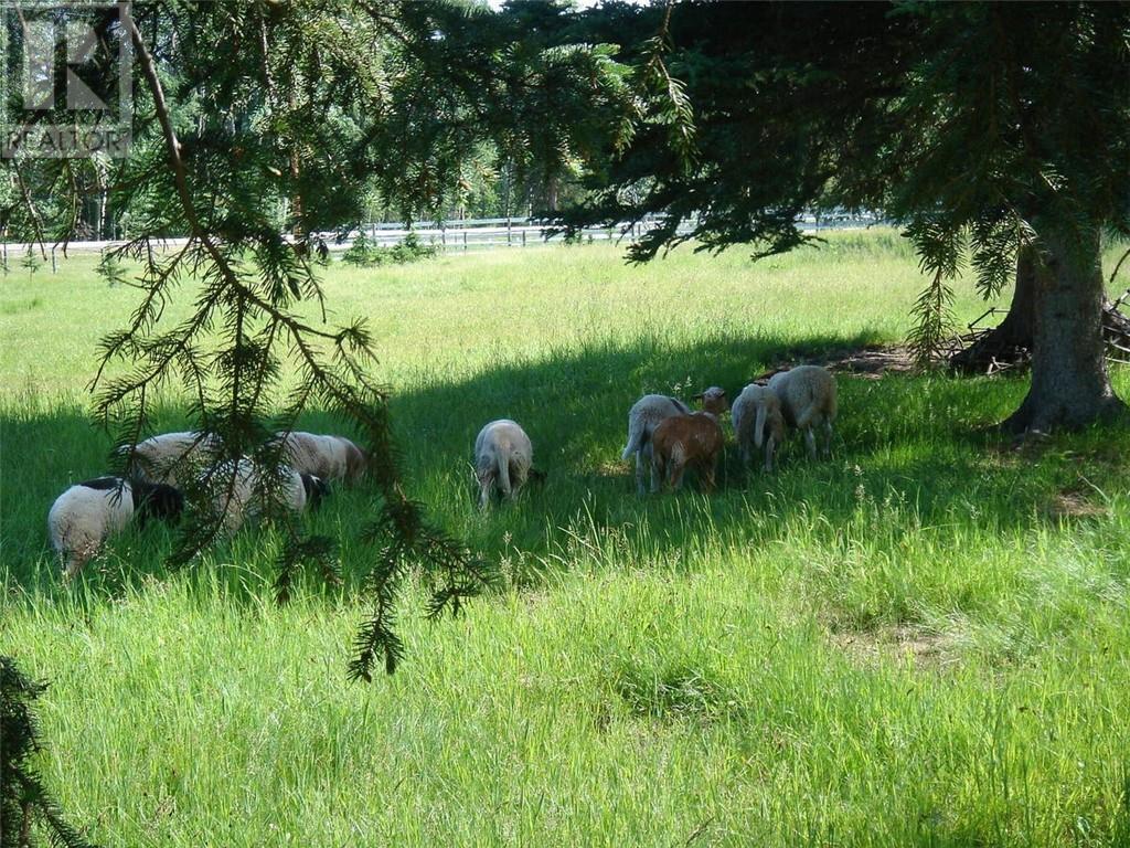 Photo 6 of 215 Wintergreen Road, Rural Rocky View County AB