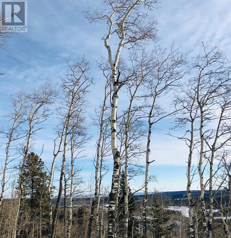 Photo 9 of 215 Wintergreen Road, Rural Rocky View County AB