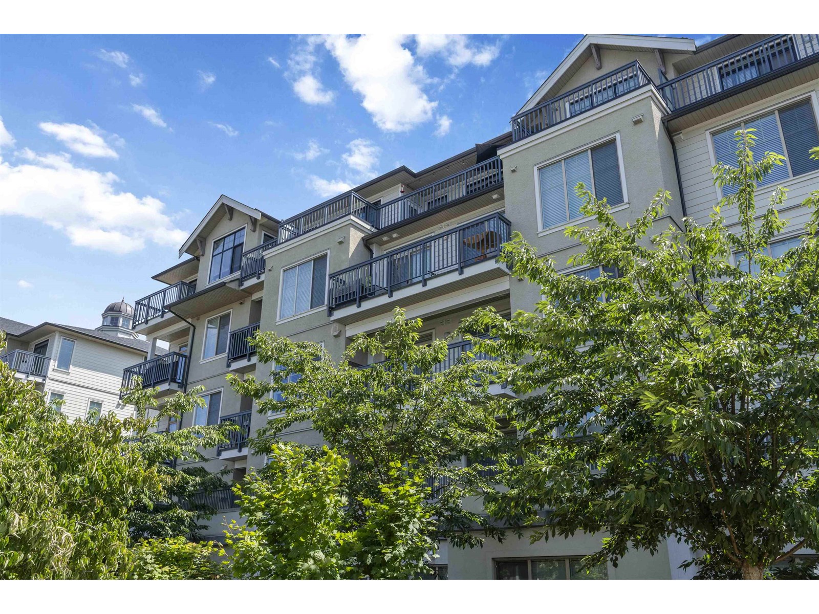 Photo 5 of A 413 20487 65 Avenue, Langley BC