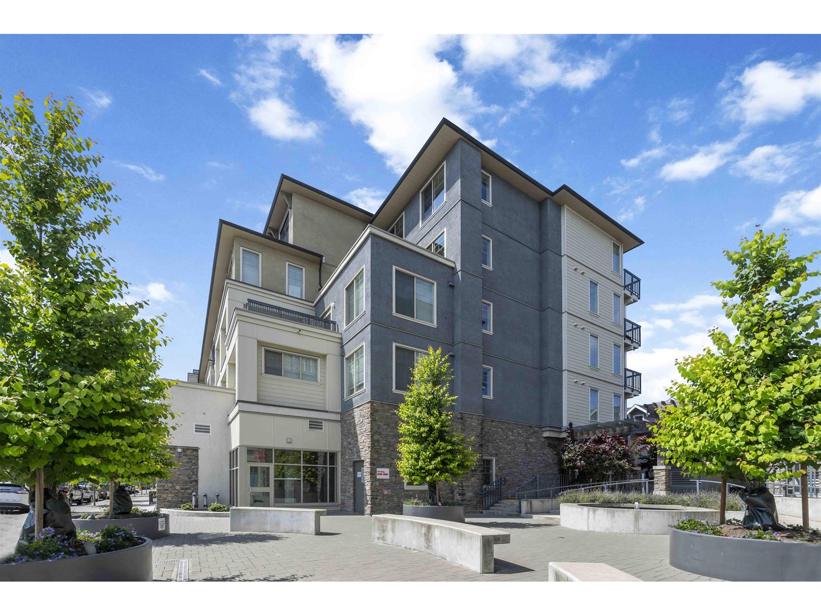 Photo 2 of A 413 20487 65 Avenue, Langley BC