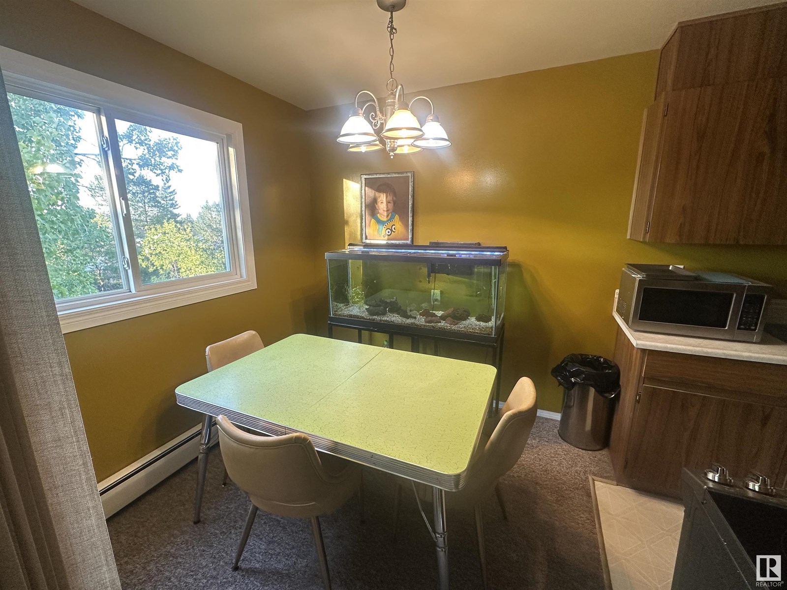 Photo 10 of 68 11255 31 Av Nw, Edmonton AB