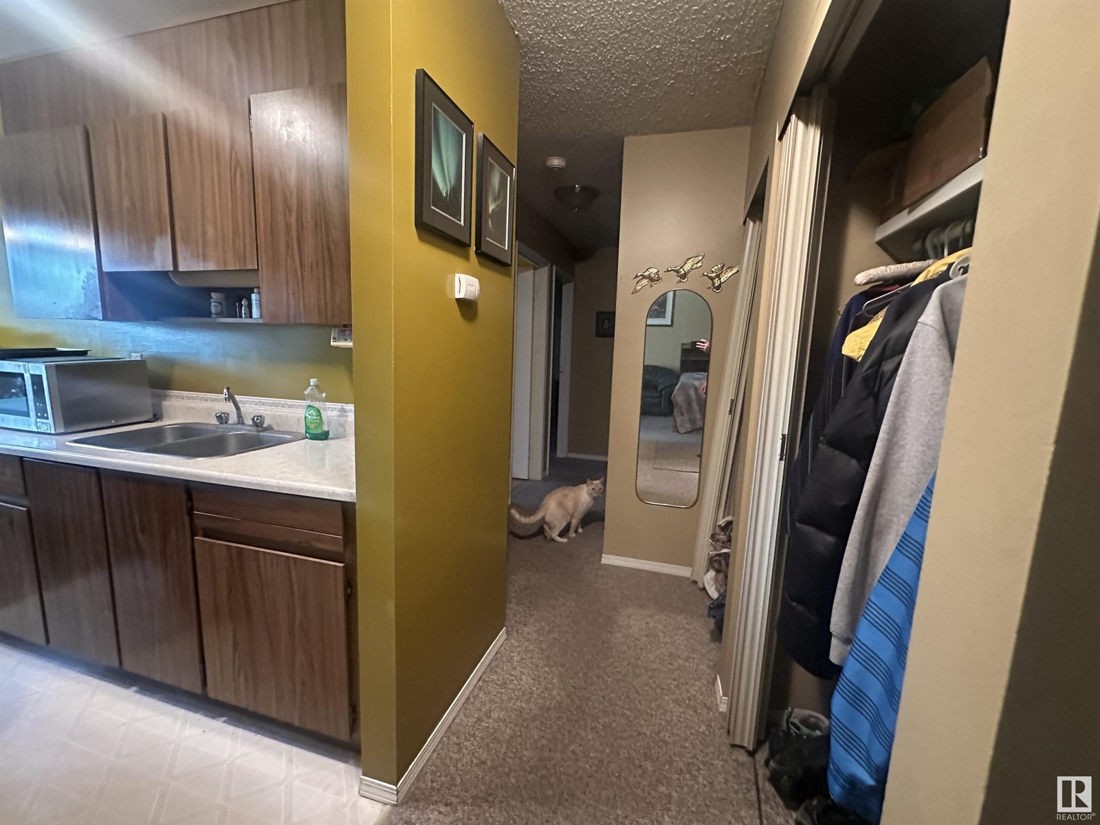 Photo 9 of 68 11255 31 Av Nw, Edmonton AB