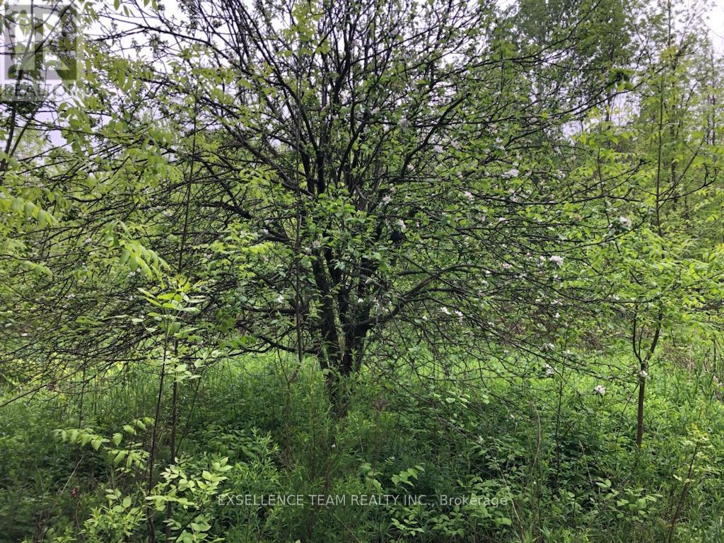 Photo 1 of 2512 County Road 30 Road W, North Glengarry ON