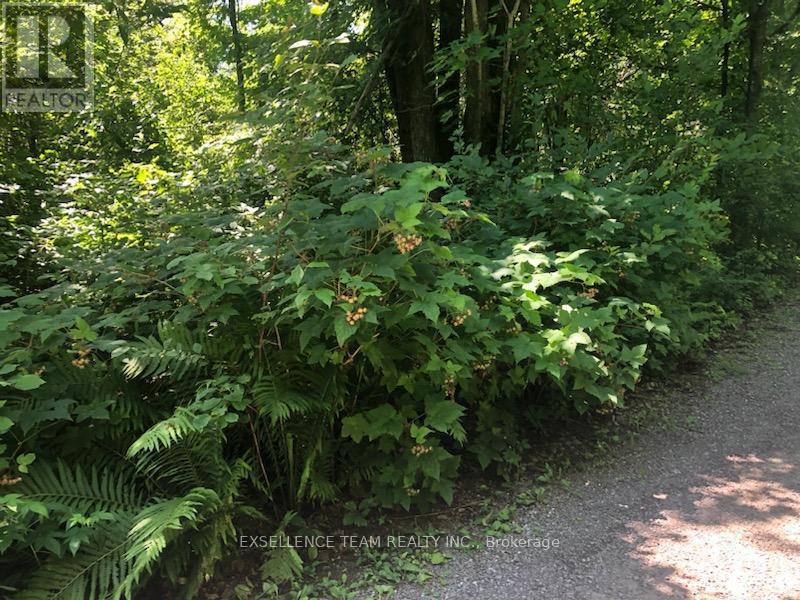 Photo 31 of 2512 County Road 30 Road W, North Glengarry ON