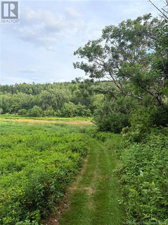 Photo 34 of 439 Storeytown Road, Storeytown NB