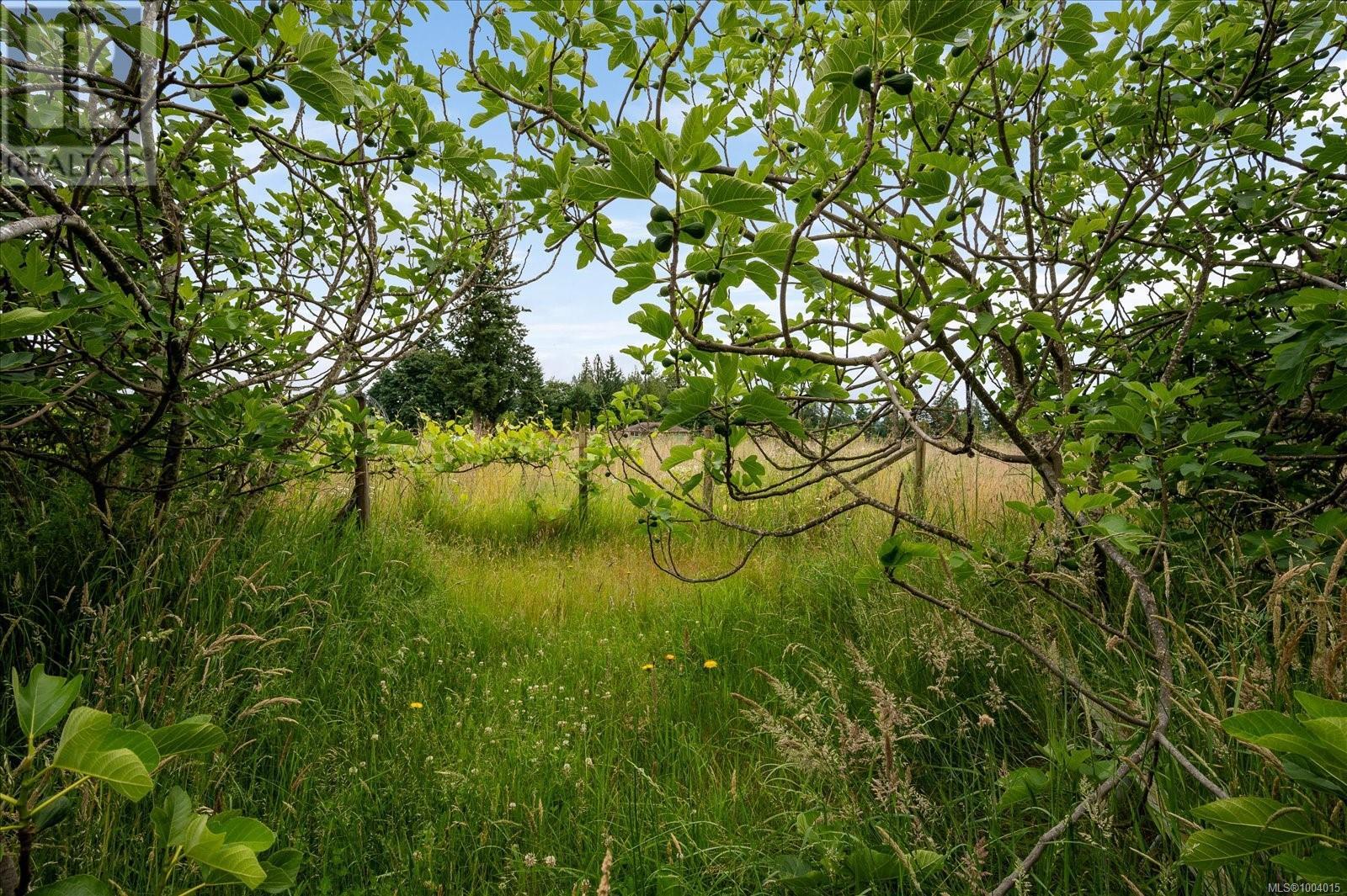 Photo 58 of 1550 Robson Lane Sw, Cowichan Bay BC