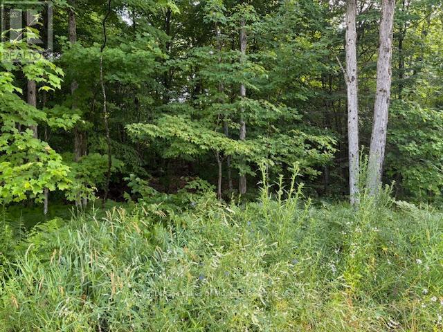 Photo 1 of 60 Summer Leigh Trail, Huntsville ON