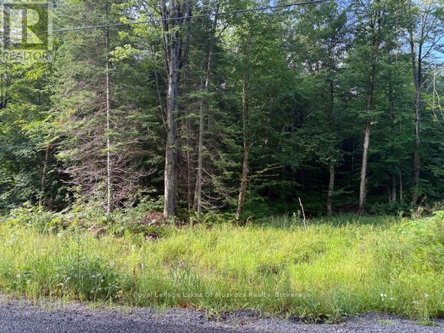 Photo 5 of 60 Summer Leigh Trail, Huntsville ON