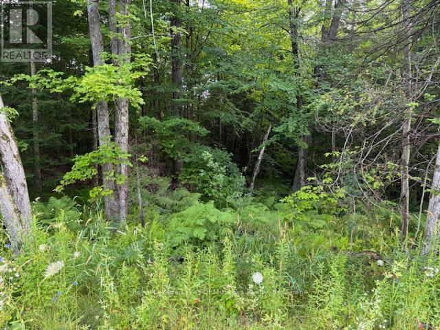 Photo 7 of 60 Summer Leigh Trail, Huntsville ON