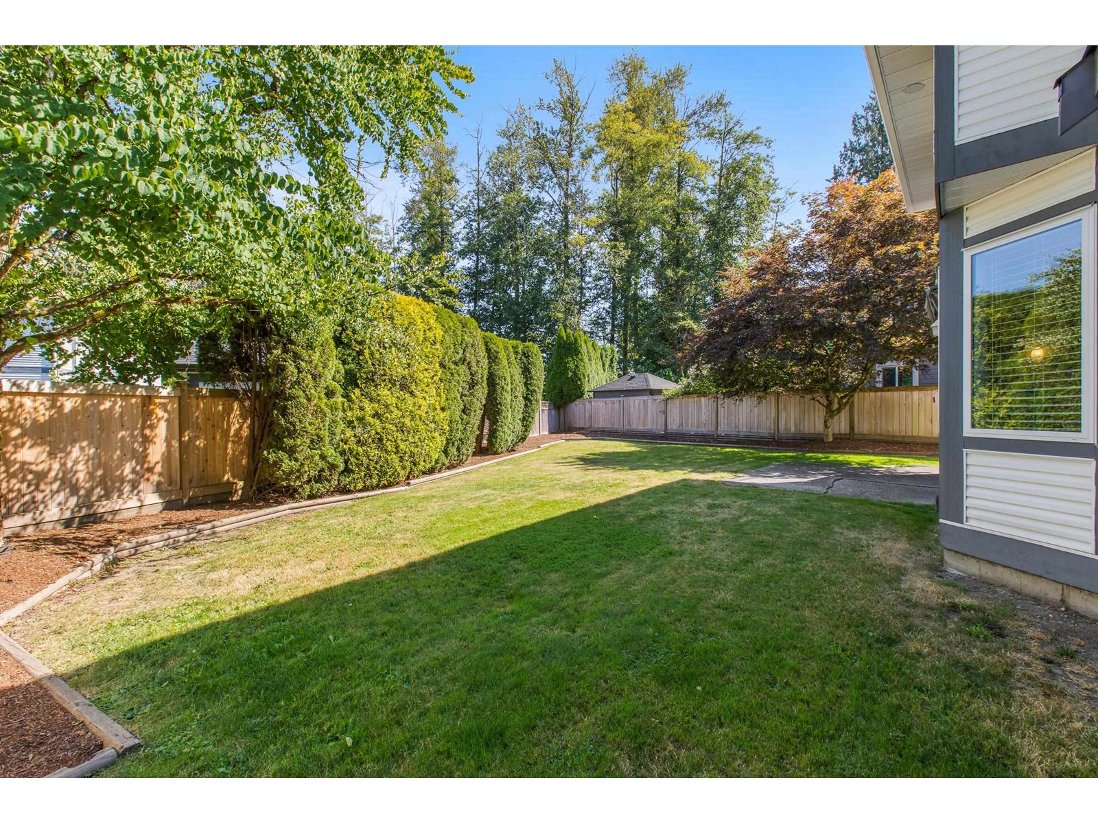 Photo 10 of 8418 214 Street, Langley BC