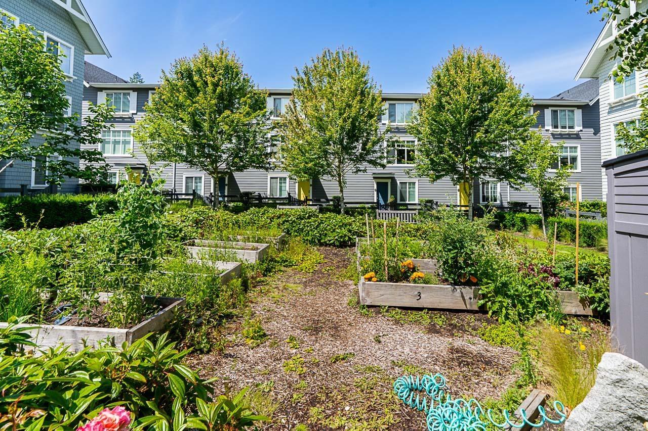 Photo 31 of 13 16678 25 Avenue, Surrey BC